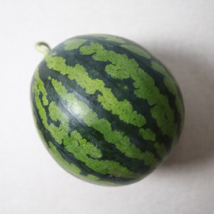 [과일]수박